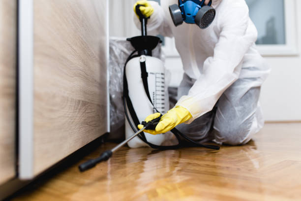 Best Pest Prevention Services  in Kilgore, TX