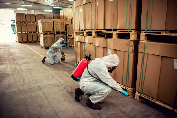 Best Rat Extermination Near Me  in Kilgore, TX