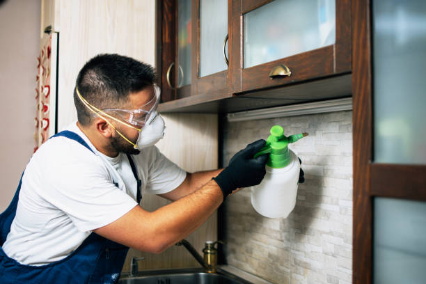 Reliable Kilgore, TX Pest Control Solutions