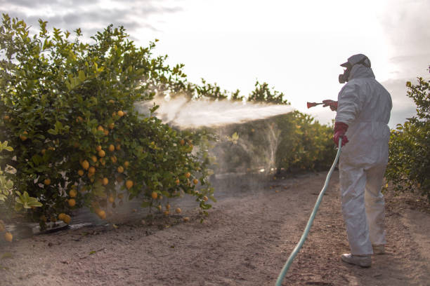 Best Commercial Pest Control Services  in Kilgore, TX