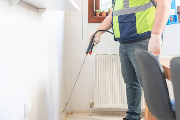 Best Local Pest Control Services  in Kilgore, TX