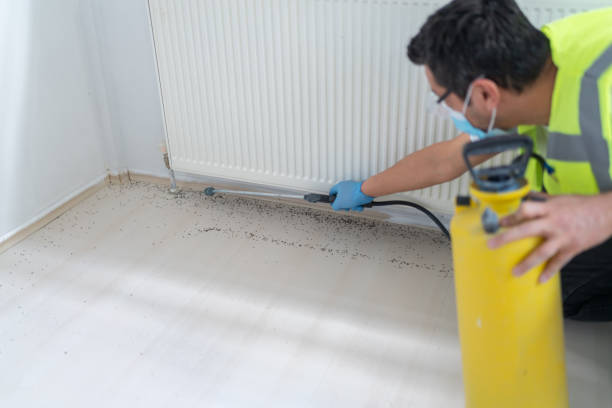Best Mosquito Control Services  in Kilgore, TX